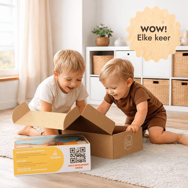 Jaarabonnement op speelsets (1–2 jaar) — GoodevasBox